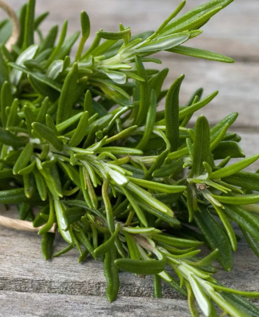 Rosemary Hair Serum (Growth & Strengthening)