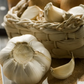 Garlic Extract