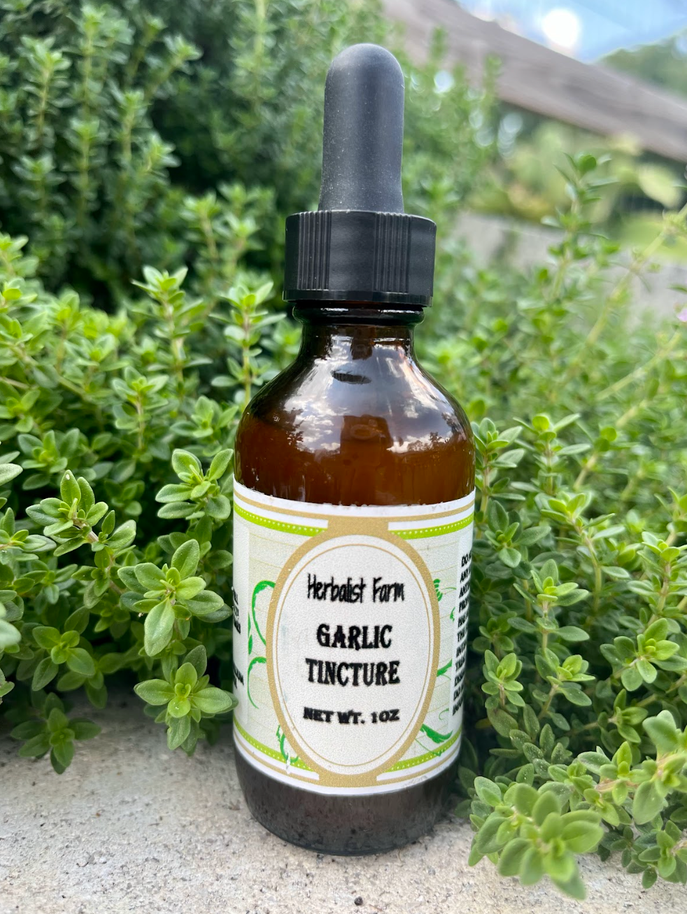 Garlic Extract