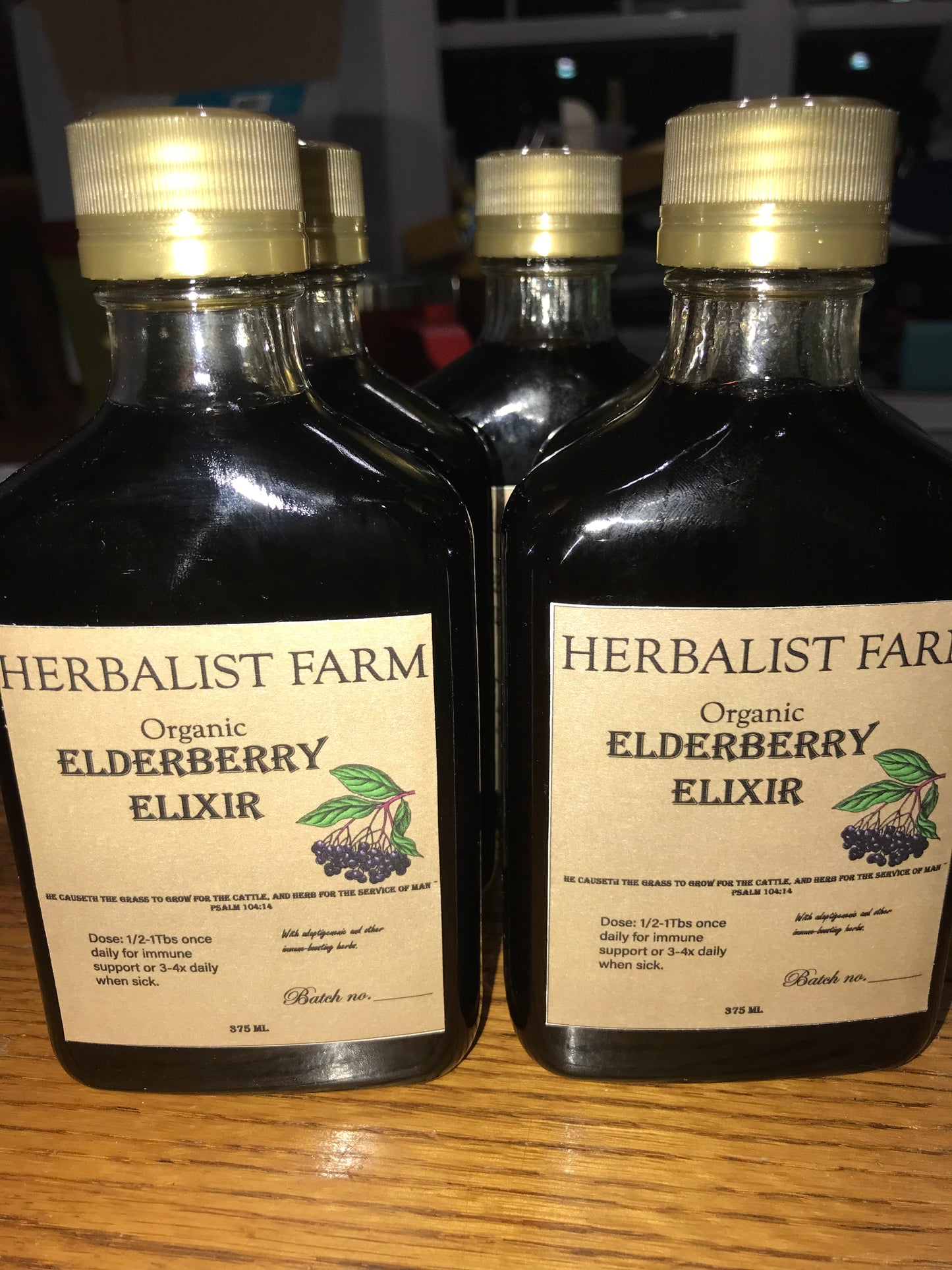 Elderberry Oxymel